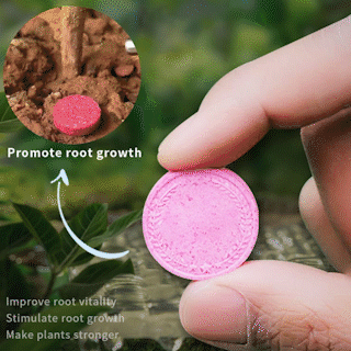 🥇Offizieller Laden 🔥 NEU: Der Bio-Garten-Hack 2025! Üppige Blüten, monatelang! AAFQ® Bio-Langzeit-Dünger-Tabletten | 50% Rabatt sichern! 🌱