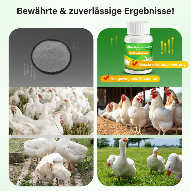 AAFQ® Futtermittelzusatzstoffe für die Geflügelhaltung