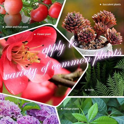🥇Offizieller Laden 🔥 NEU: Der Bio-Garten-Hack 2025! Üppige Blüten, monatelang! AAFQ® Bio-Langzeit-Dünger-Tabletten | 50% Rabatt sichern! 🌱