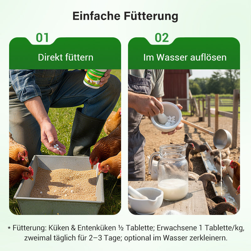 AAFQ® Futtermittelzusatzstoffe für die Geflügelhaltung
