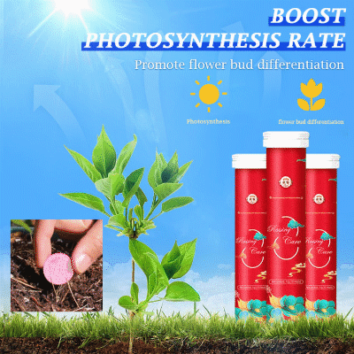 🥇Offizieller Laden 🔥 NEU: Der Bio-Garten-Hack 2025! Üppige Blüten, monatelang! AAFQ® Bio-Langzeit-Dünger-Tabletten | 50% Rabatt sichern! 🌱