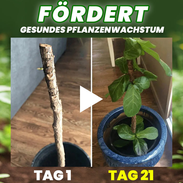 AAFQ® Organische Düngertabletten