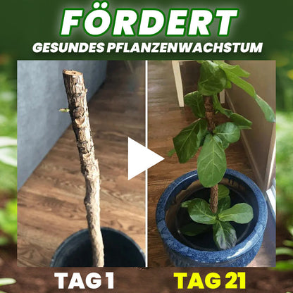 AAFQ® Organische Düngertabletten