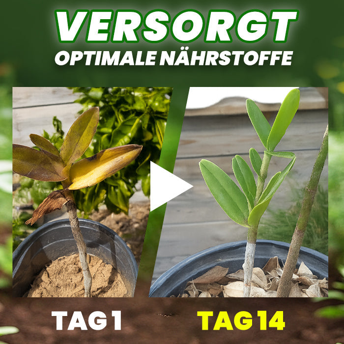 AAFQ® Organische Düngertabletten