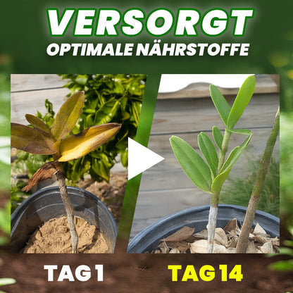 AAFQ® Organische Düngertabletten