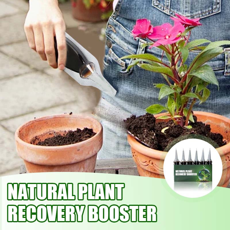 AAFQ® Natürlicher Pflanzen-Wiederbelebungs-Booster mit essentiellen Nährstoffen 🌿⚗️