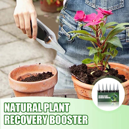 AAFQ® Natürlicher Pflanzen-Wiederbelebungs-Booster mit essentiellen Nährstoffen 🌿⚗️