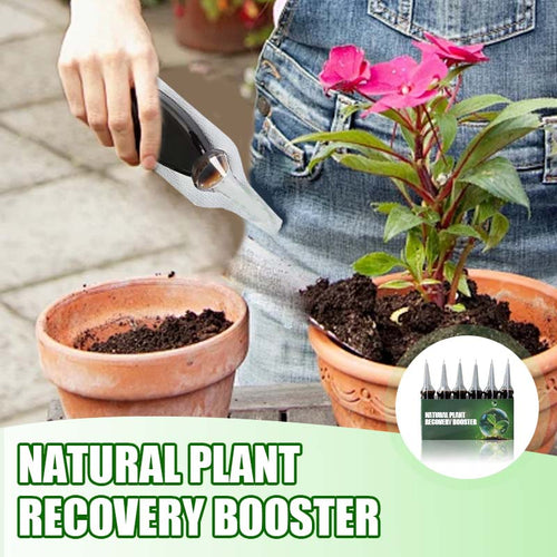AAFQ® Natürlicher Pflanzen-Wiederbelebungs-Booster mit essentiellen Nährstoffen 🌿⚗️