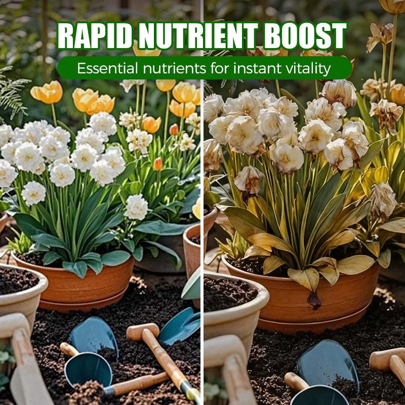 AAFQ® Natürlicher Pflanzen-Wiederbelebungs-Booster mit essentiellen Nährstoffen 🌿⚗️
