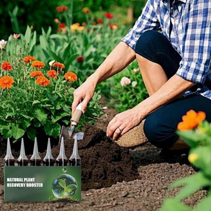 AAFQ® Natürlicher Pflanzen-Wiederbelebungs-Booster mit essentiellen Nährstoffen 🌿⚗️